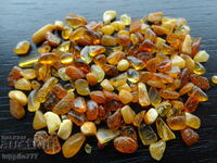 36.50 ct natural Baltic amber lot 100 pcs.+