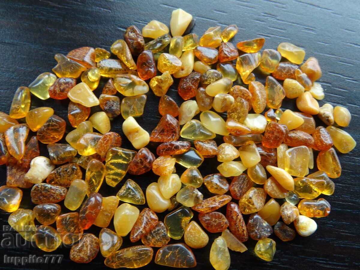 Auction 36.90 ct natural Baltic amber lot 100 pcs.+ Auction 36.90 ct natural Baltic amber lot 100 pcs.+