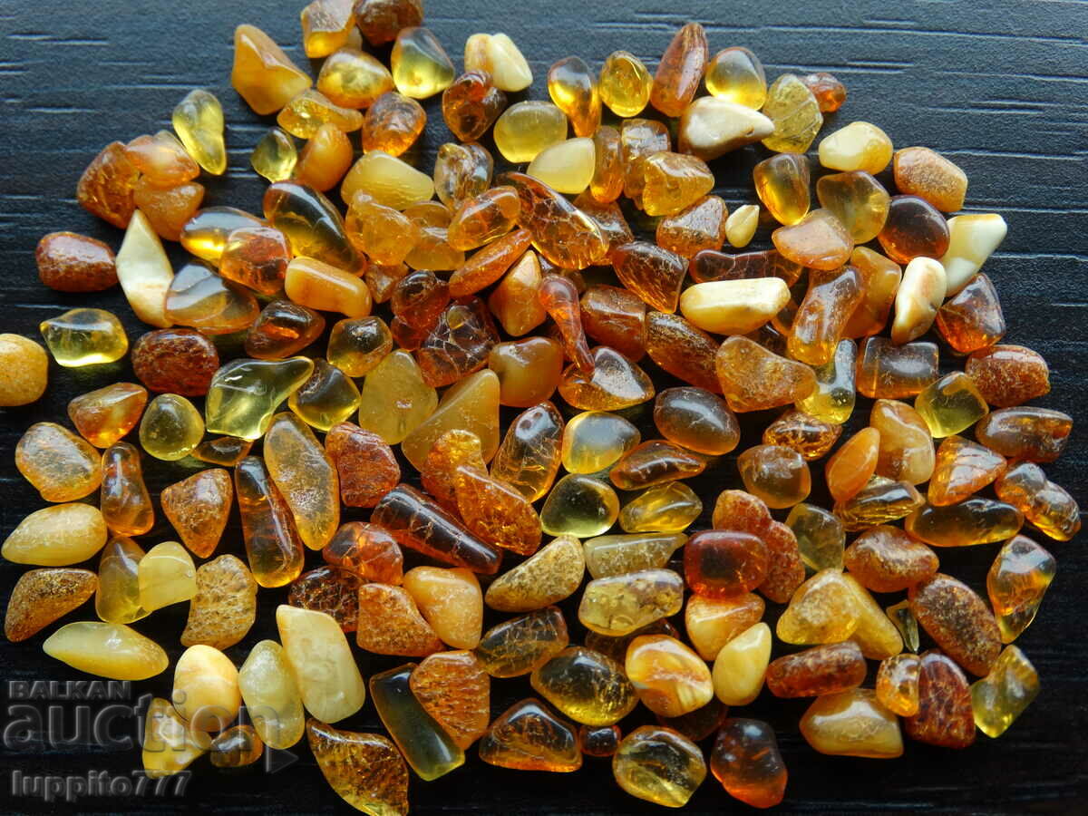 Auction 38.80 ct natural Baltic amber lot 100 pcs.+ Auction 38.80 ct natural Baltic amber lot 100 pcs.+