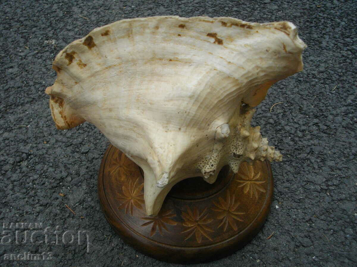 Auction LARGE RAPAAN SINK Auction LARGE RAPAAN SINK