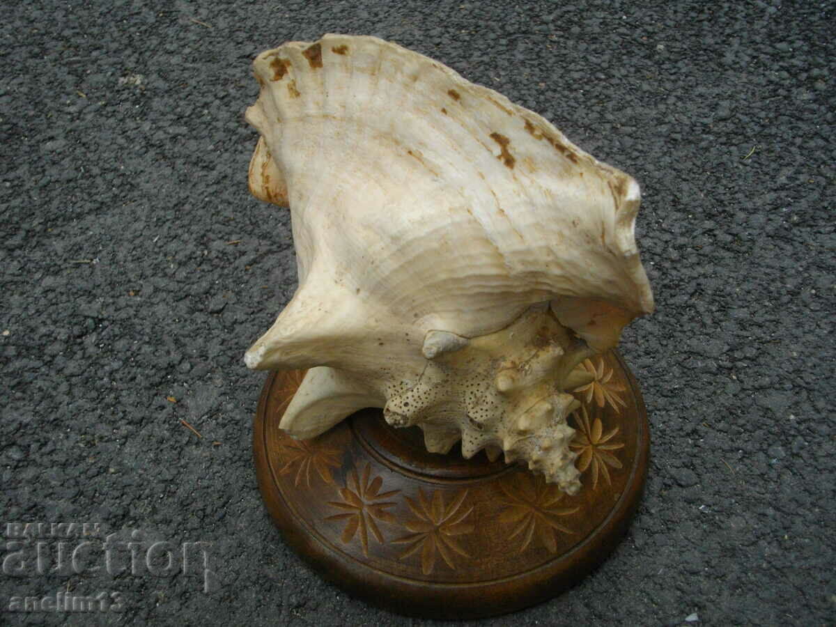 Delivery of LARGE RAPAAN SINK Delivery of LARGE RAPAAN SINK