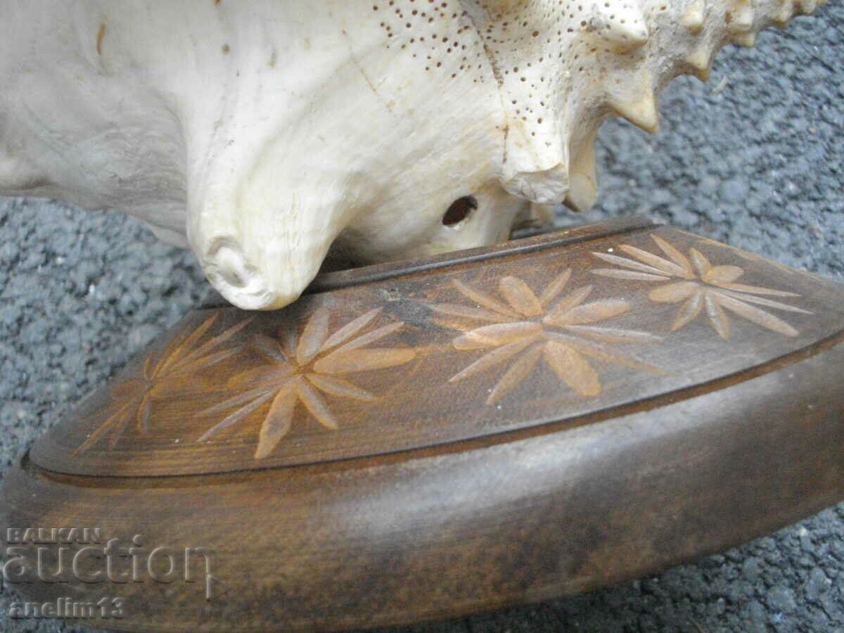 LARGE RAPAAN SINK - 5 LARGE RAPAAN SINK - 5