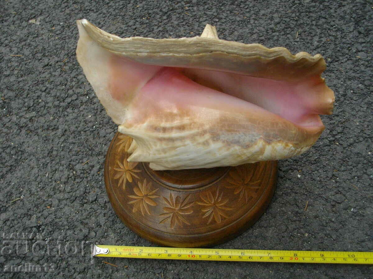 LARGE RAPAAN SINK - 6 LARGE RAPAAN SINK - 6