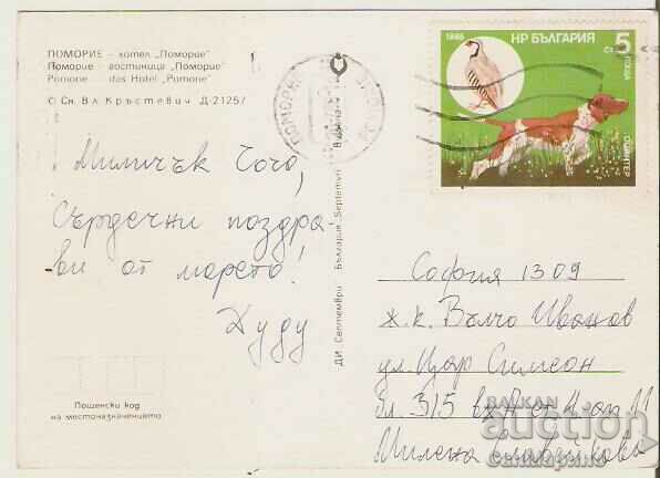 Card Bulgaria Pomorie Hotel "Pomorie" 5* with price 0.80 BGN | € 0.41 Card Bulgaria Pomorie Hotel "Pomorie" 5* with price 0.80 BGN | € 0.41