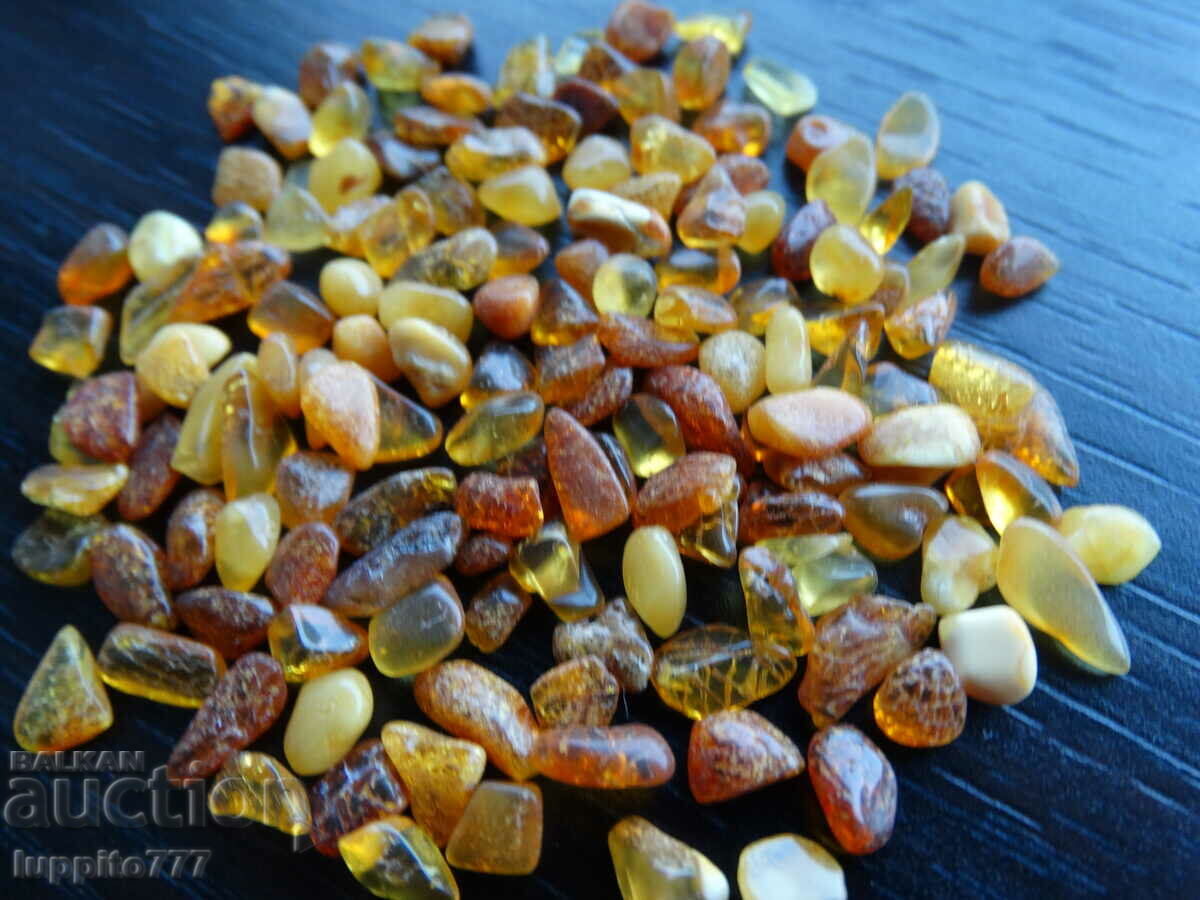 Auction 37.25 ct natural Baltic amber lot 100 pcs.+ Auction 37.25 ct natural Baltic amber lot 100 pcs.+