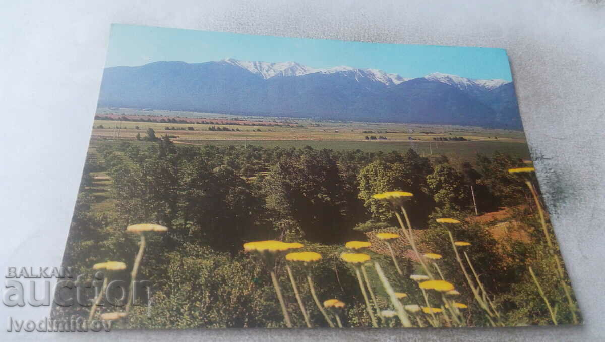 Postcard Pirin 1981