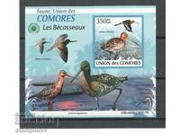 Νησιά Κομόρες - Πουλιά