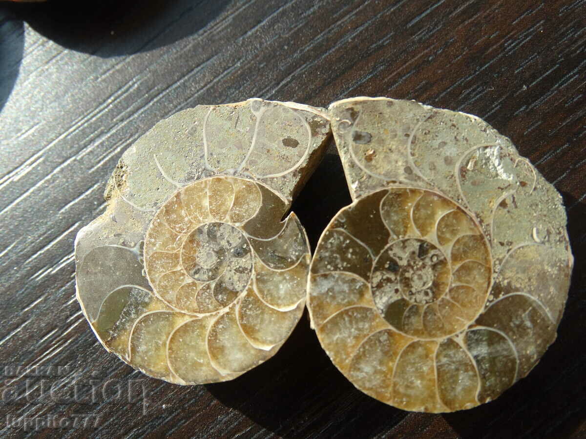 133.30 k natural ammonite Jurassic 2 pcs. a pair with price 89.00 BGN | € 45.50