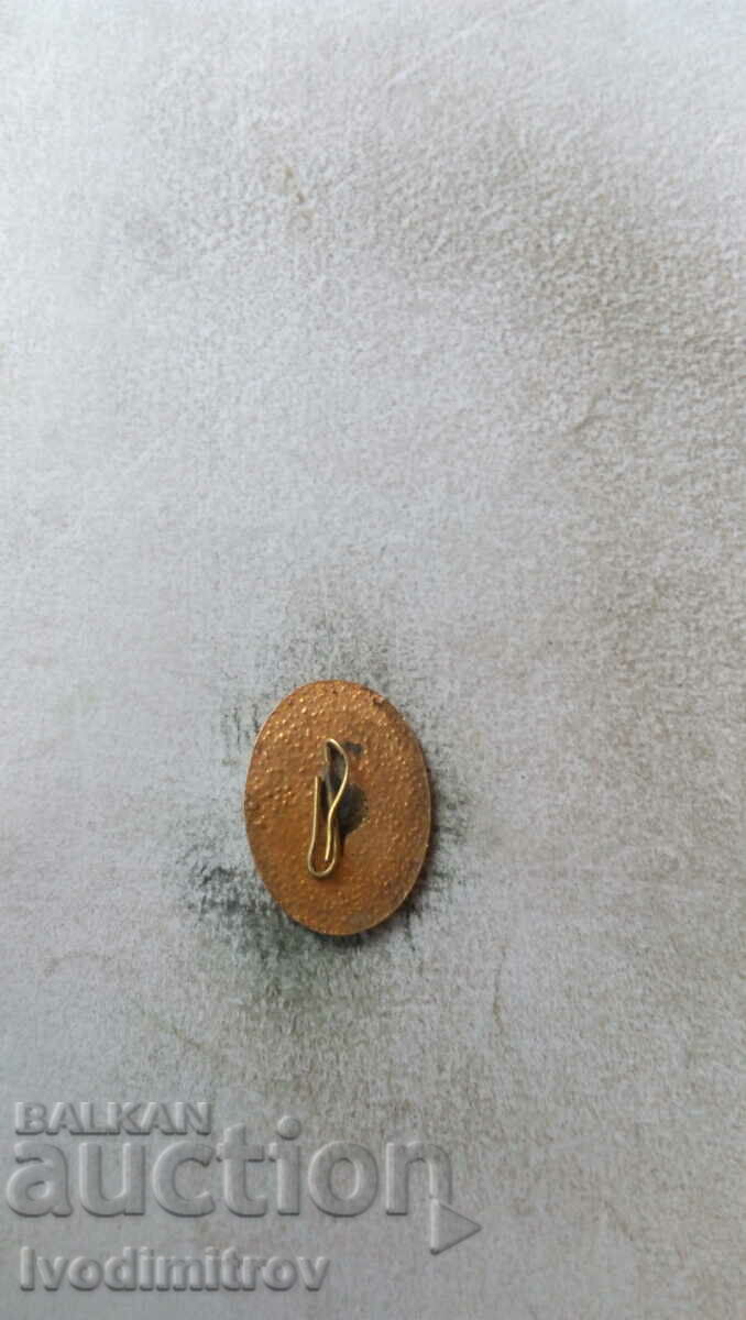 Enamelled star cockade with price 3.45 BGN | € 1.76 Enamelled star cockade with price 3.45 BGN | € 1.76