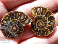 94.95 kth natural ammonite Jurassic 2 pcs. a pair