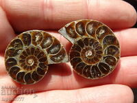 90.85 k natural ammonite Jurassic 2 pcs. a pair