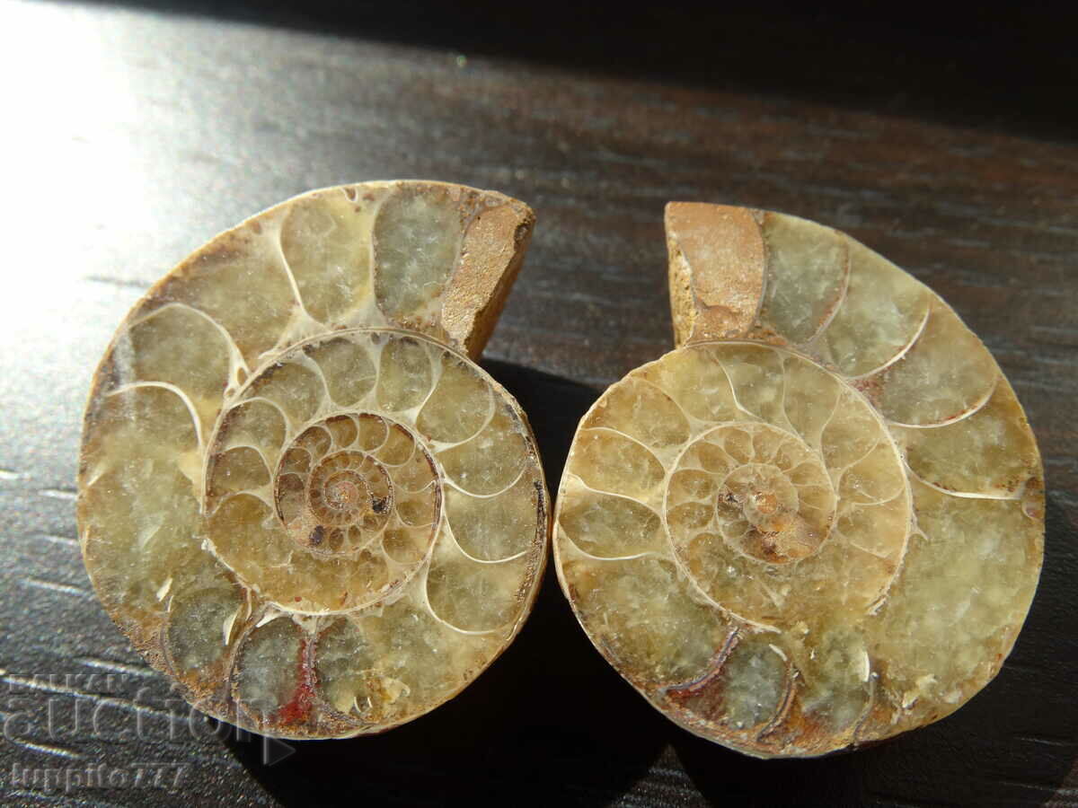 98.65 k natural ammonite Jurassic 2 pcs. a pair with price 89.00 BGN | € 45.50