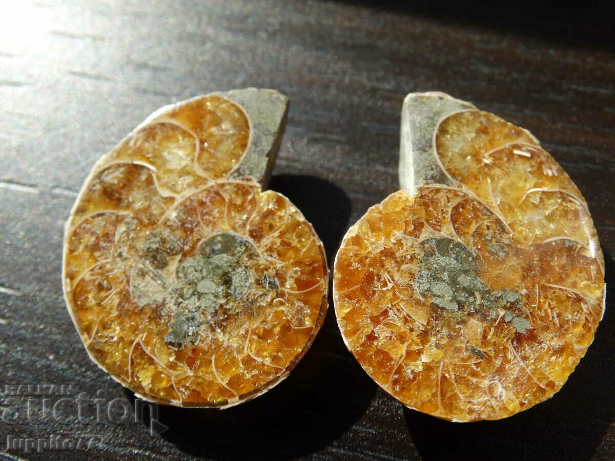 67.15 k natural ammonite Jurassic 2 pcs. a pair with price 89.00 BGN | € 45.50 67.15 k natural ammonite Jurassic 2 pcs. a pair with price 89.00 BGN | € 45.50