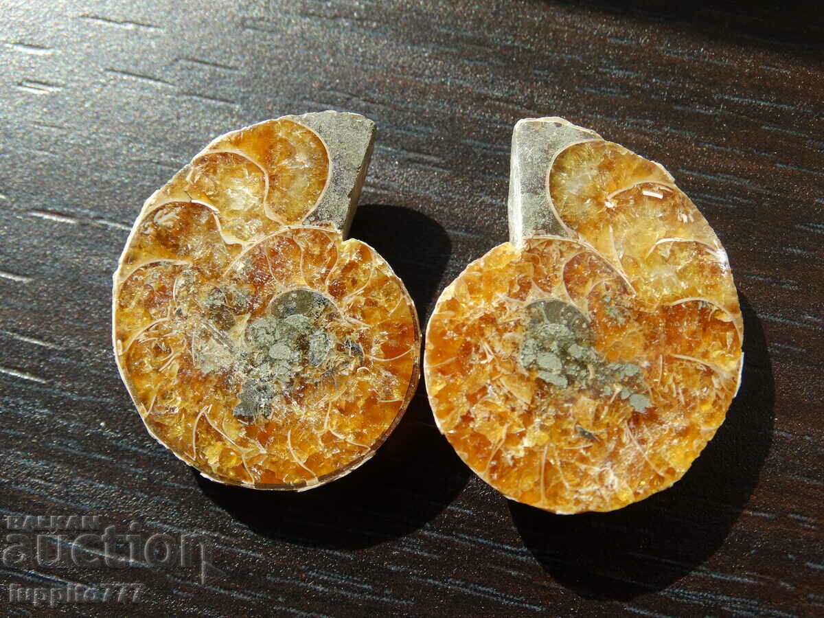 Auction 67.15 k natural ammonite Jurassic 2 pcs. a pair Auction 67.15 k natural ammonite Jurassic 2 pcs. a pair