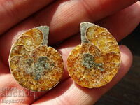 67.15 k natural ammonite Jurassic 2 pcs. a pair