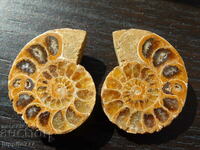 69.10 pcs natural ammonite Jurassic 2 pcs pair