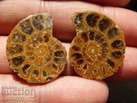 62.85 k natural ammonite Jurassic 2 pcs. a pair