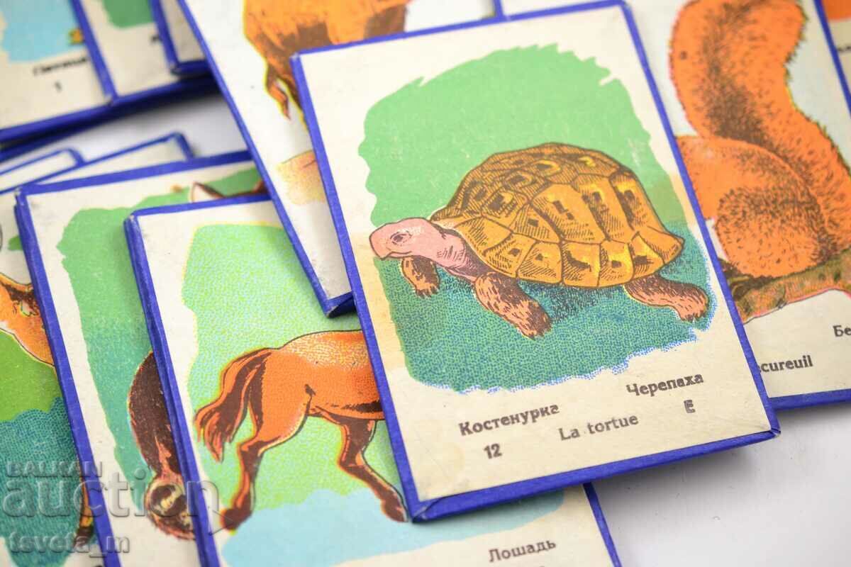 Licitație Joc de carton pentru copii jucării pentru copii, social