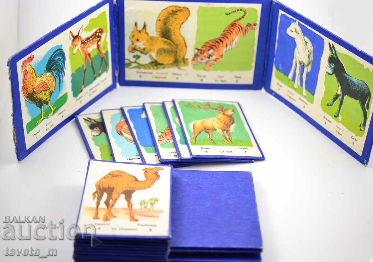 Delivery of Children's cardboard game children's toys, social Delivery of Children's cardboard game children's toys, social