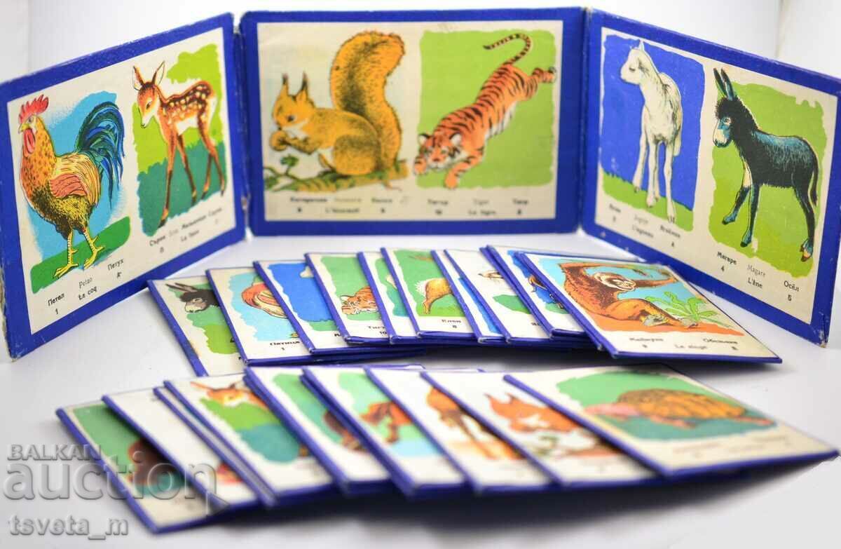 Joc de carton pentru copii jucării pentru copii, social