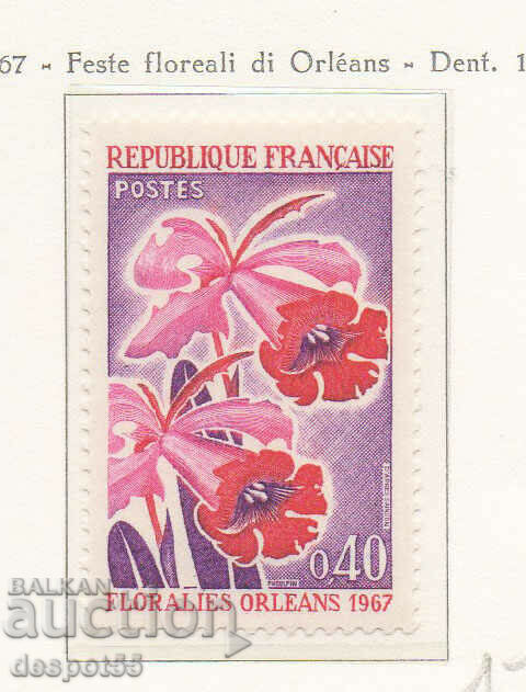 1967. Franţa. Expozitia de flori din Orleans.