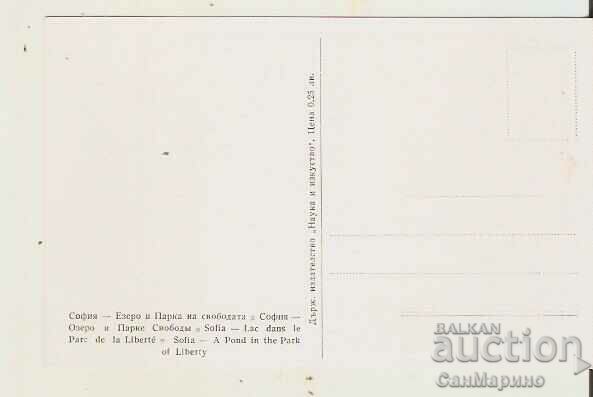 Card Bulgaria Sofia Freedom Park - Lake 7 * with price 2.20 BGN | € 1.12 Card Bulgaria Sofia Freedom Park - Lake 7 * with price 2.20 BGN | € 1.12