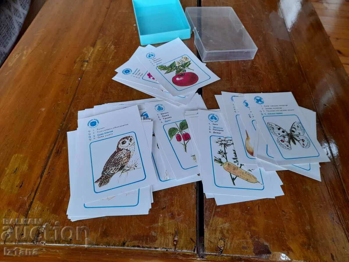 Old children's playing cards with price 25.00 BGN | € 12.78 Old children's playing cards with price 25.00 BGN | € 12.78
