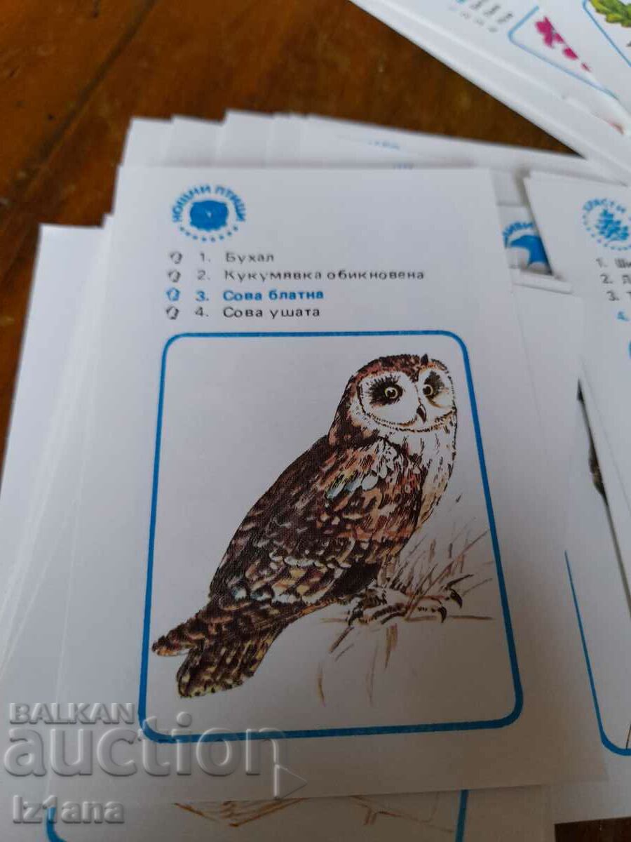 Auction Old children's playing cards Auction Old children's playing cards