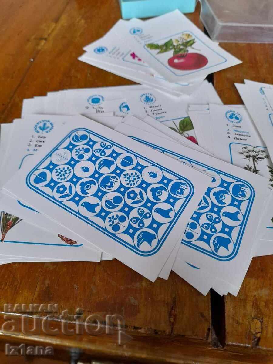 Delivery of Old children's playing cards Delivery of Old children's playing cards