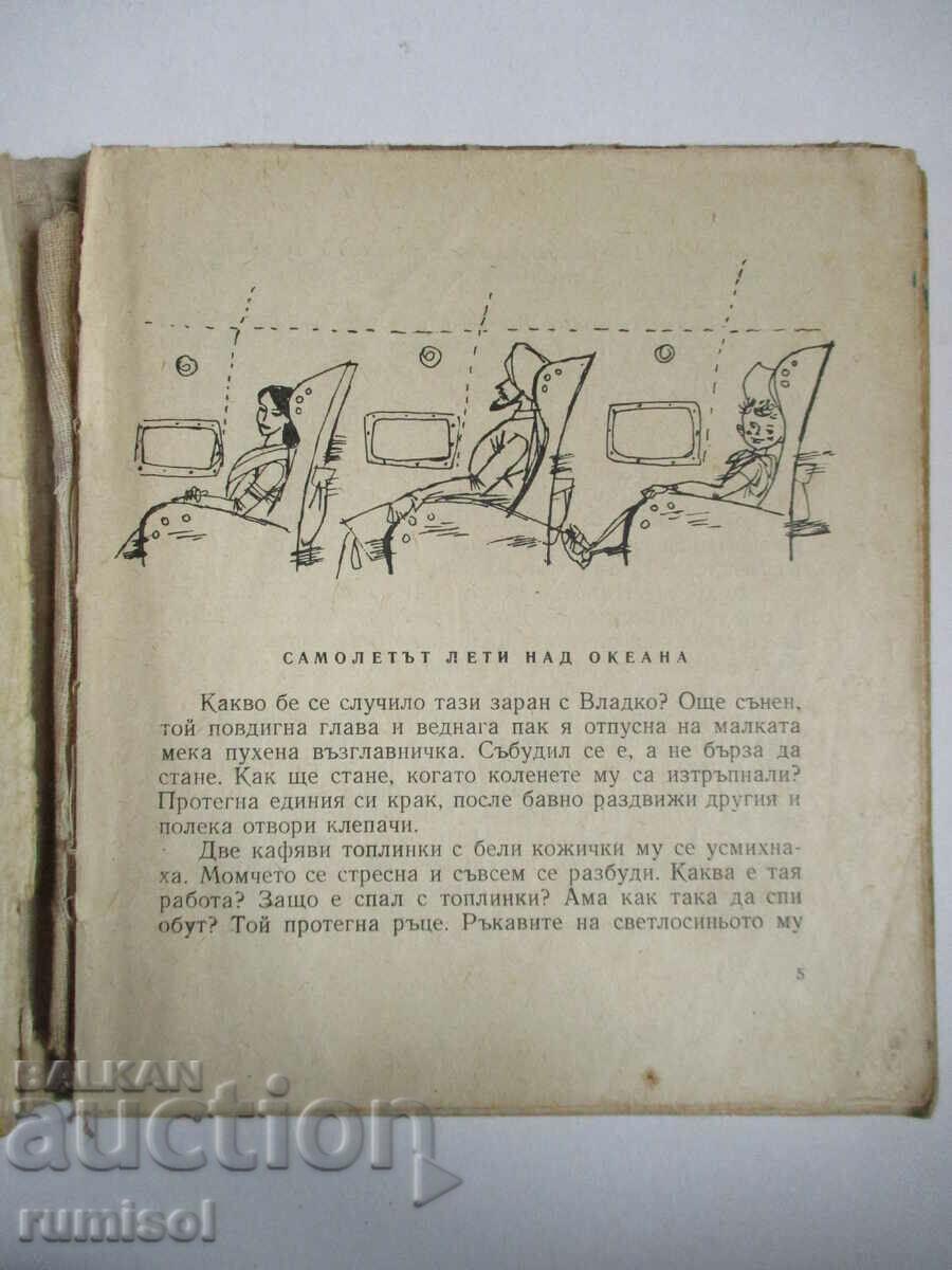 Auction Vladko in India - Anna Kamenova Auction Vladko in India - Anna Kamenova