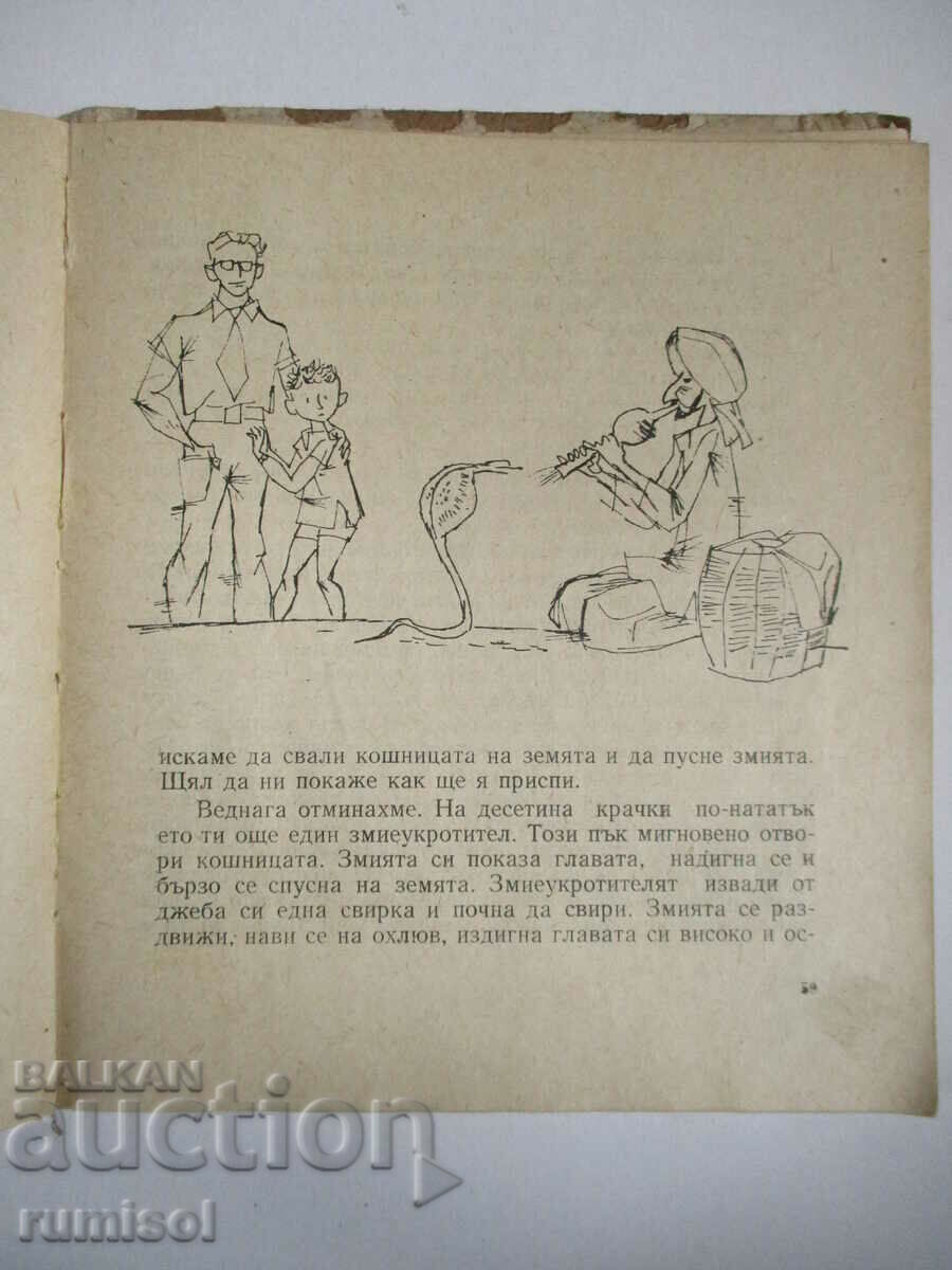 Livrarea Vladko în India - Anna Kamenova