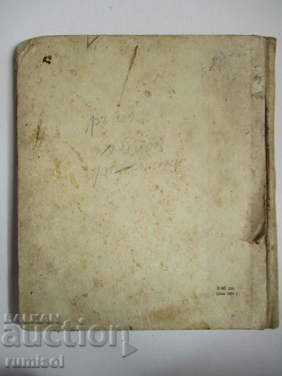 Vladko în India - Anna Kamenova - 5