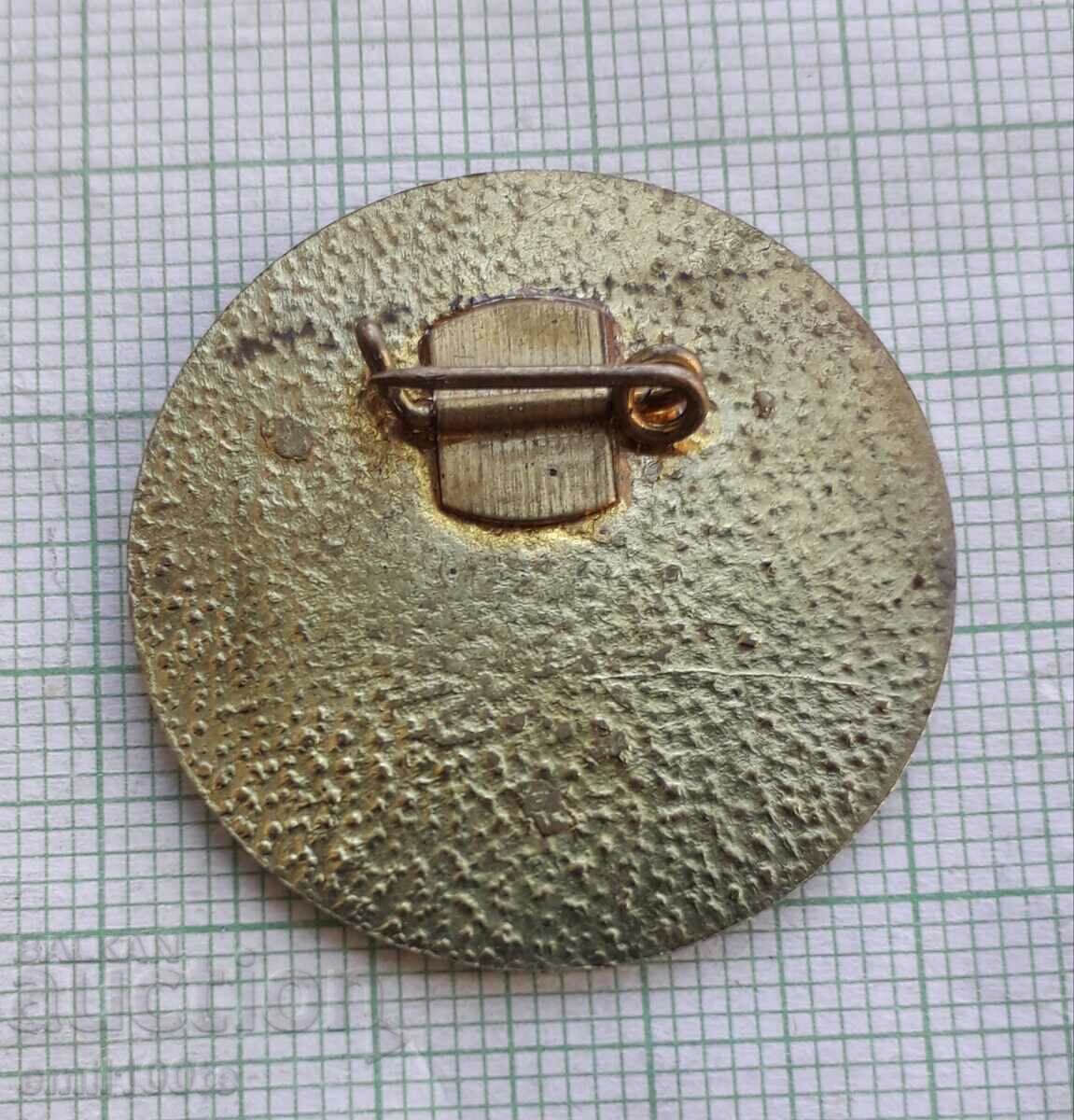 Delivery of Badge - International Year of Women, Dimitrovsk Region