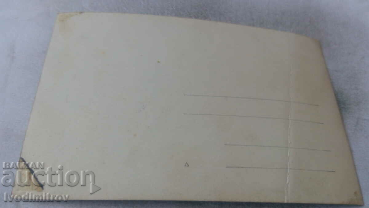 Photo Young people lying on the grass with price 1.45 BGN | € 0.74