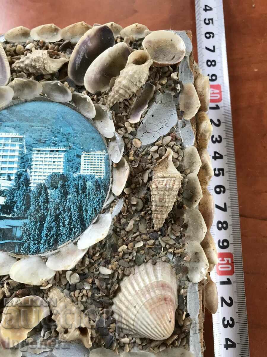 Delivery of BOX WOOD