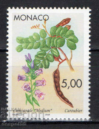 1996. Monaco. Pods and leaves of giant bluebell and carob