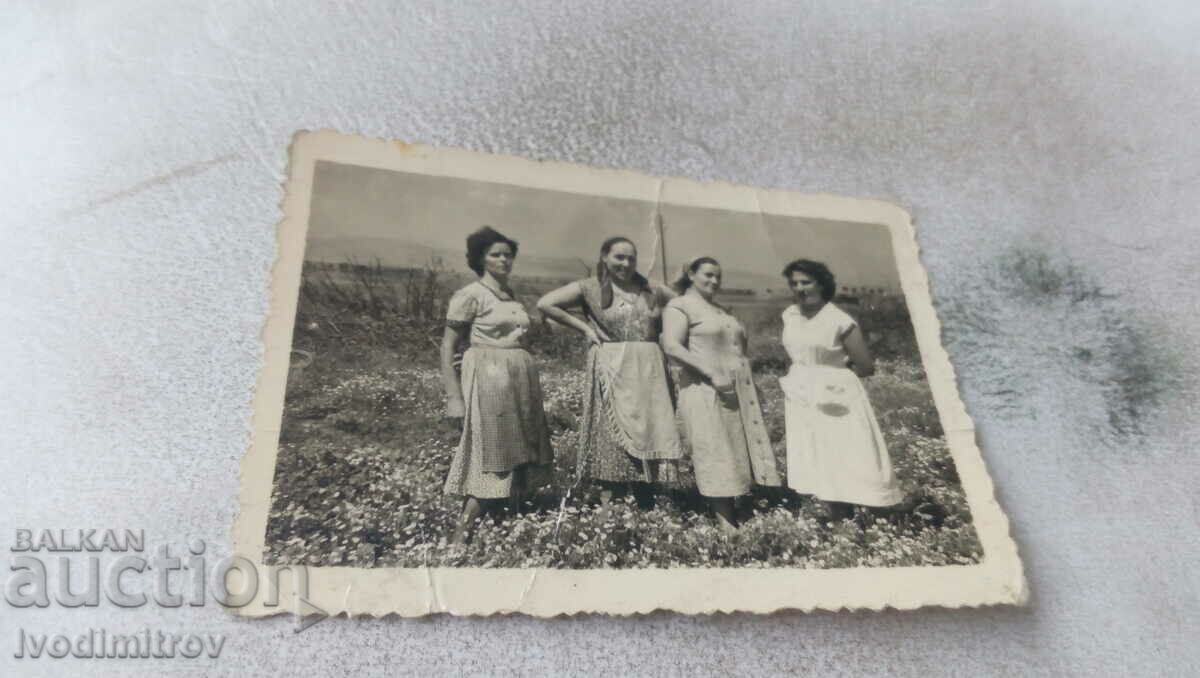 Φωτογραφία Τέσσερις γυναίκες στο χωράφι