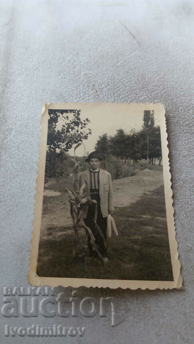 Снимка Мъж с стрък и кочани царевица