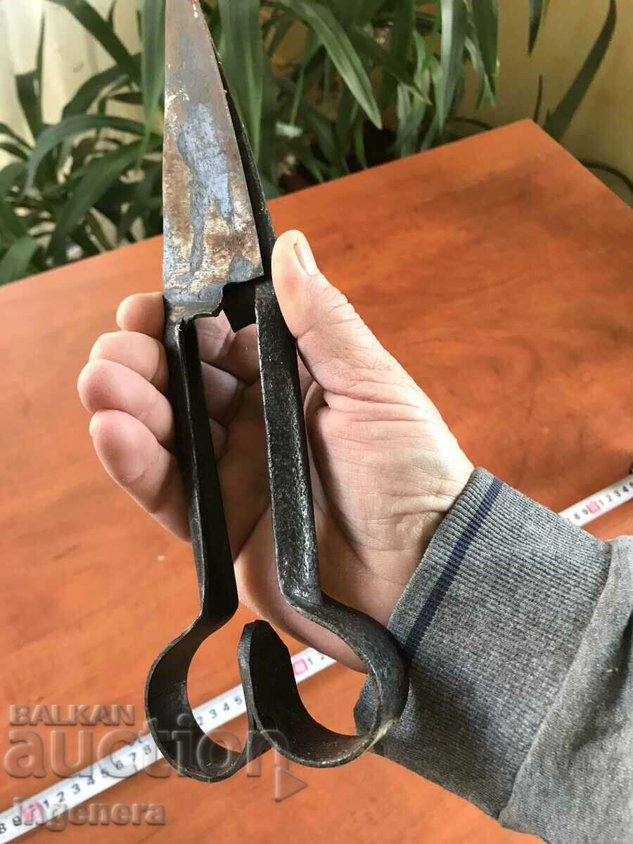 SCISSORS OLD FORGED SHEEP CUTTING TOOL with price 6.00 BGN | € 3.07 SCISSORS OLD FORGED SHEEP CUTTING TOOL with price 6.00 BGN | € 3.07