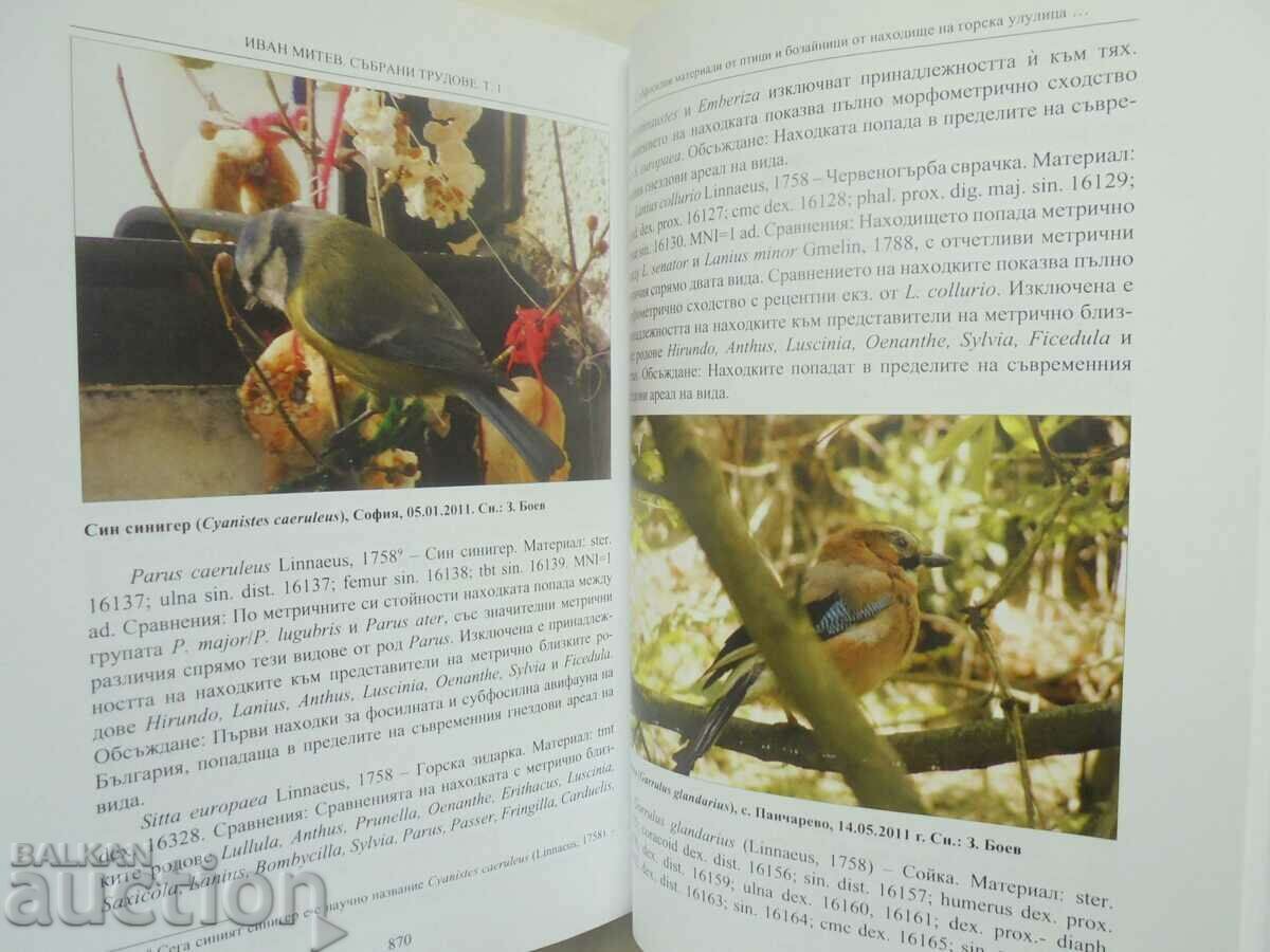 Παράδοση Συλλεκτικά έργα. Τόμος 1: Bulgarian Nature - Ivan Mitev 2016 Παράδοση Συλλεκτικά έργα. Τόμος 1: Bulgarian Nature - Ivan Mitev 2016