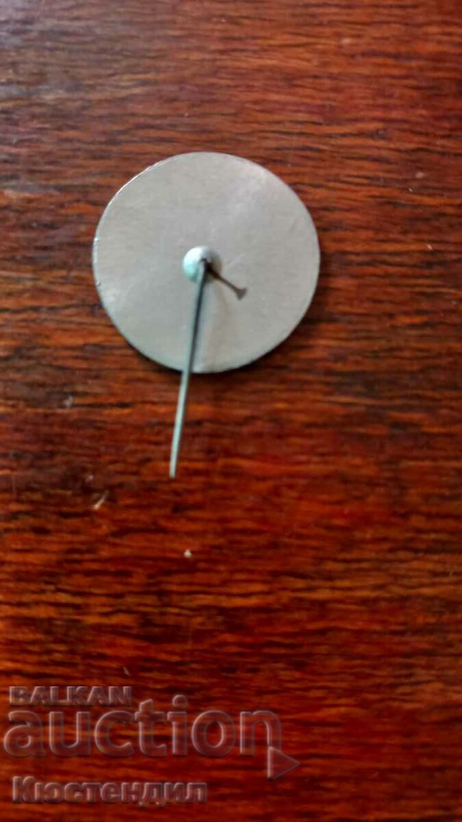 Auction BADGE ROSE TEMPLE MONUMENT Auction BADGE ROSE TEMPLE MONUMENT