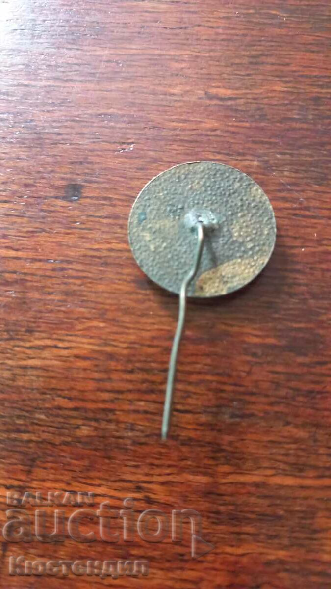 Auction  100 YEARS COUNTY HISTORICAL MUSEUM BADGE