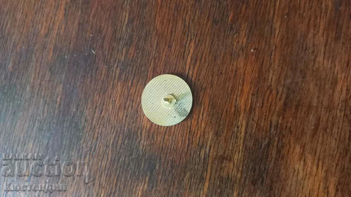 Auction SIZE Auction SIZE