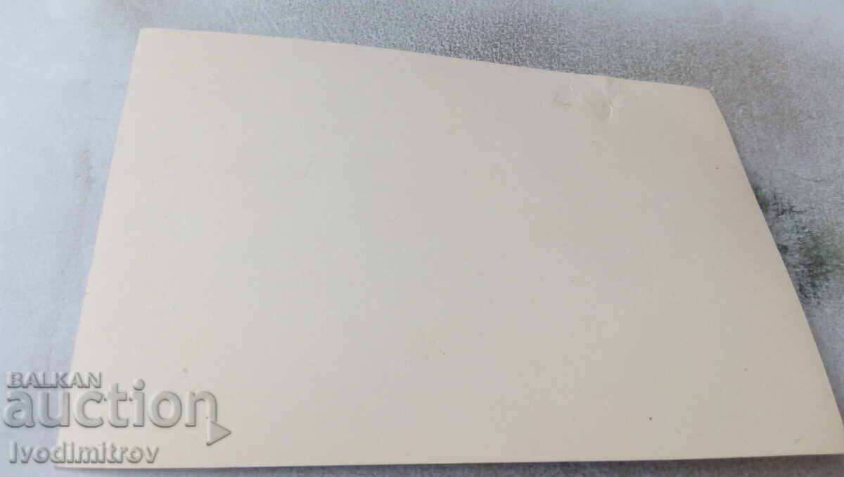 Picture Men and women in a gazebo in the mountains with price 0.85 BGN | € 0.43 Picture Men and women in a gazebo in the mountains with price 0.85 BGN | € 0.43