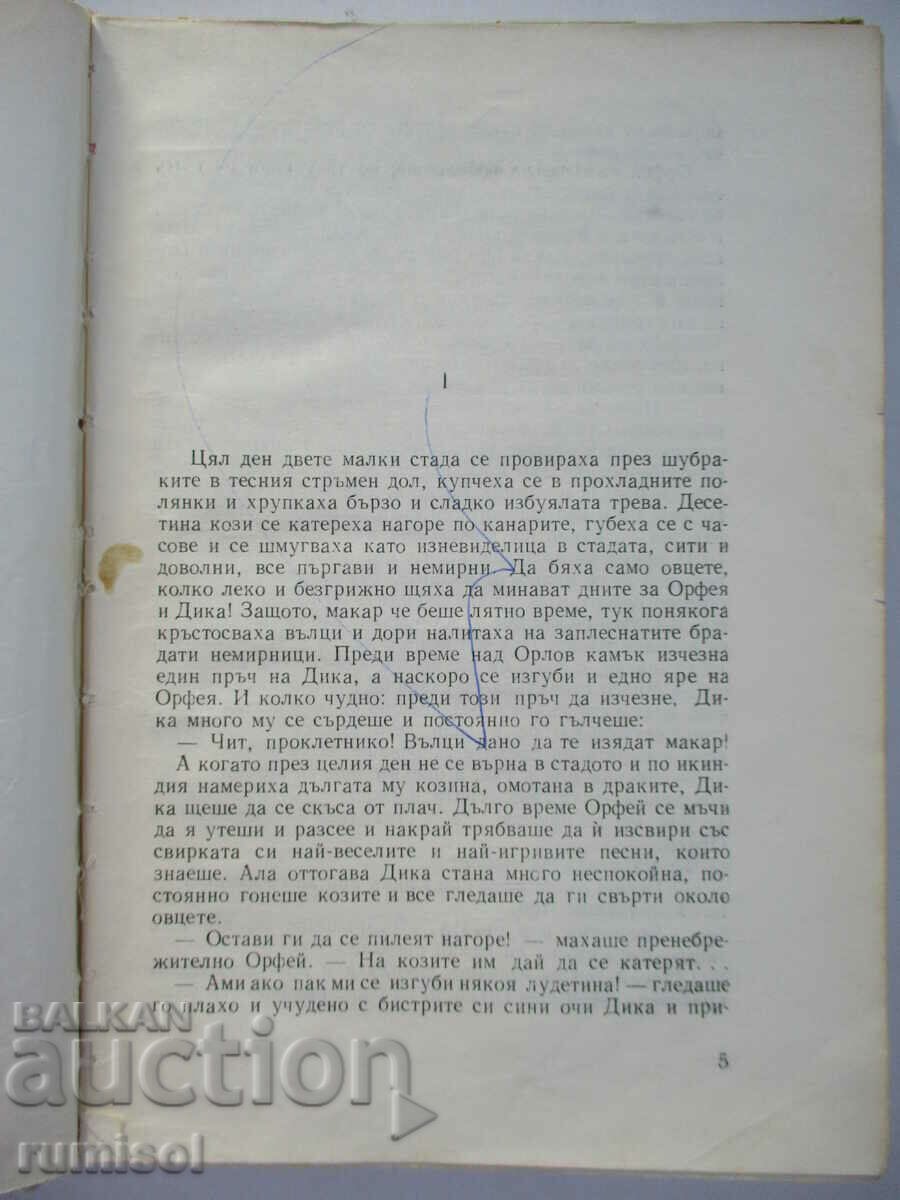 Auction Orlov Kamak - Georgi Karaslavov Auction Orlov Kamak - Georgi Karaslavov