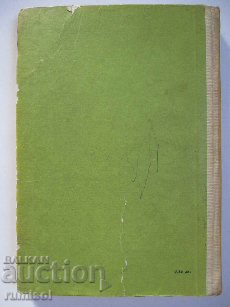 Орлов камък - Георги Караславов - 5