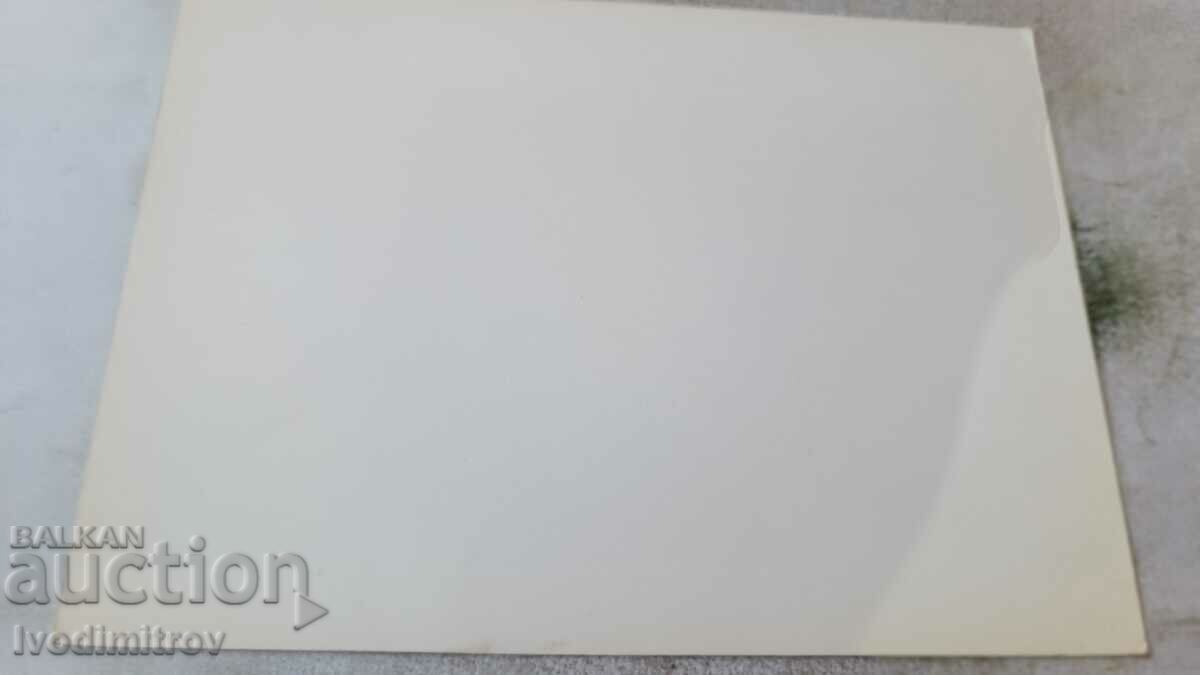 Postcard Amanda Lear (France) with price 0.95 BGN | € 0.49