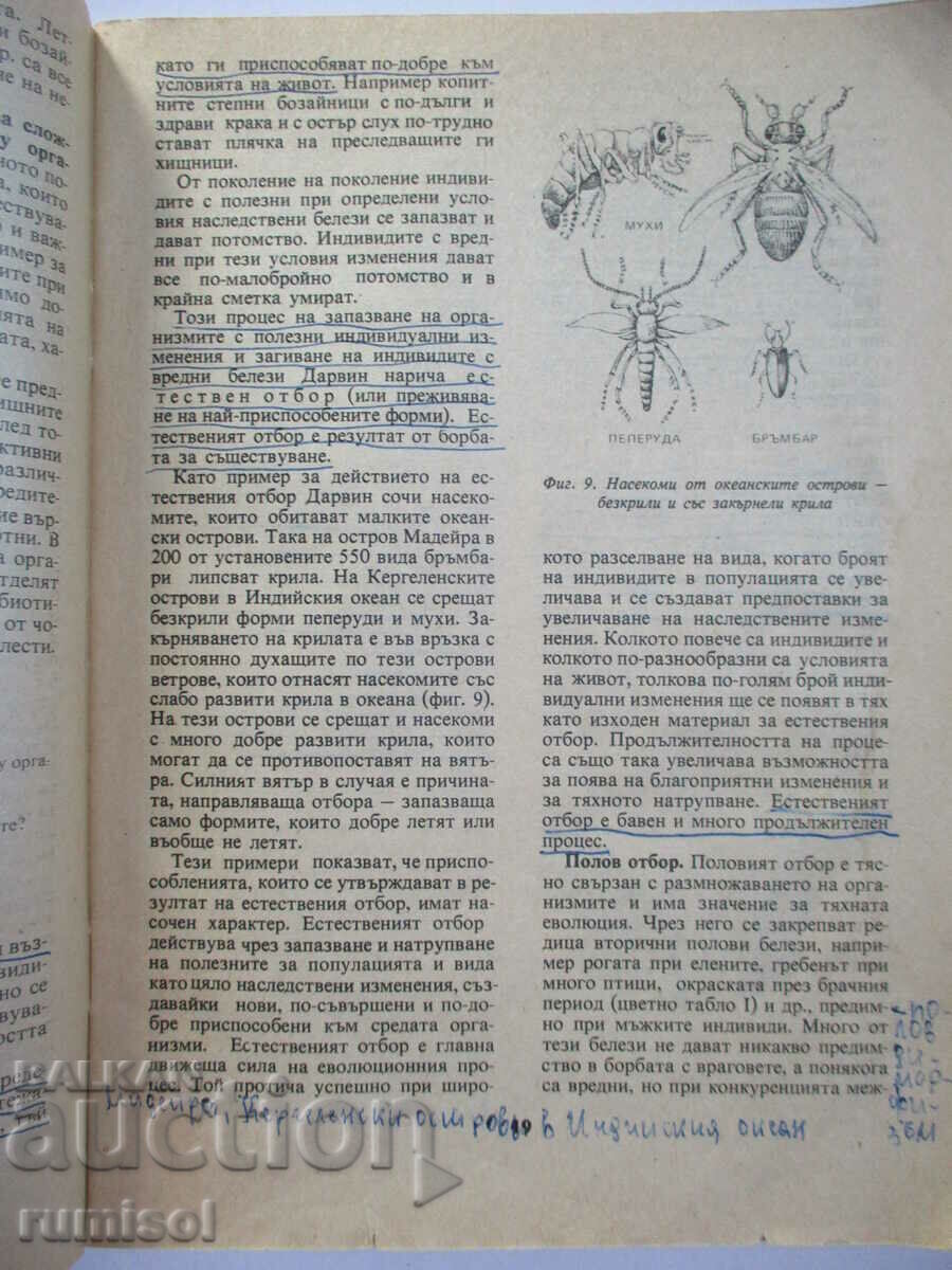 Auction Biology - 9th grade - Pavel Angelov Auction Biology - 9th grade - Pavel Angelov