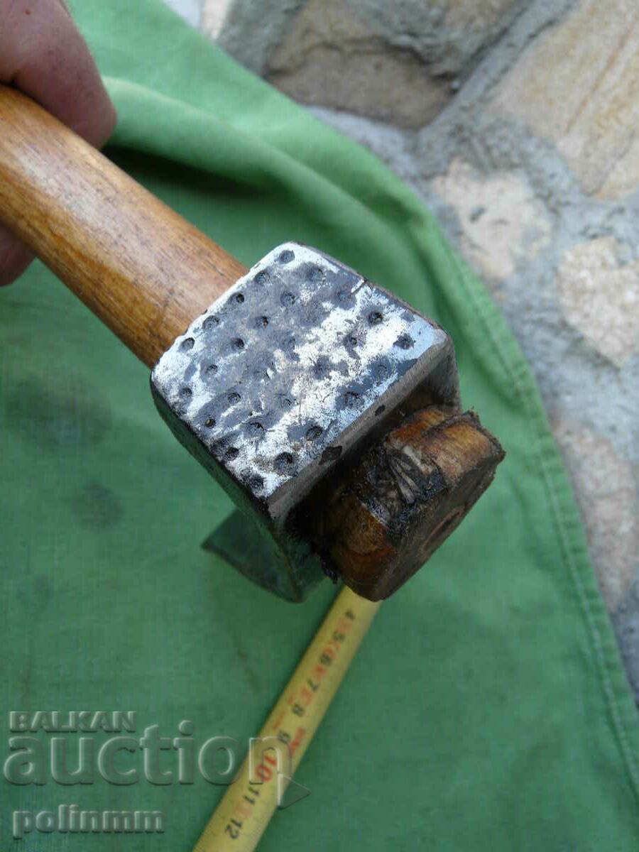 Delivery of Quality Bulgarian Tesla - 8 Delivery of Quality Bulgarian Tesla - 8