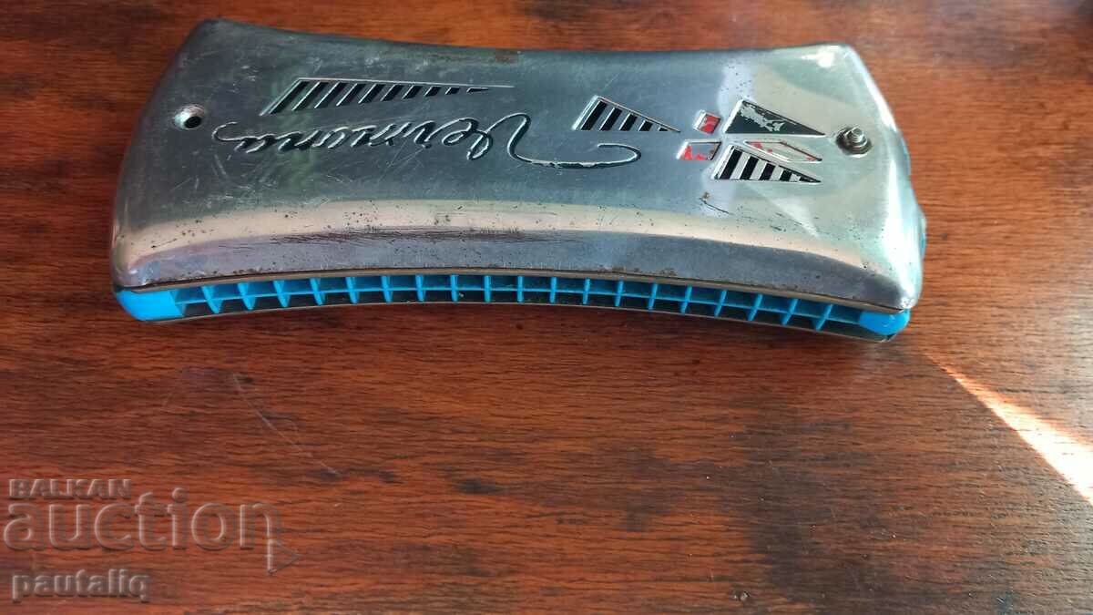 ΑΚΟΡΝΤΕΟΝ ΒΕΡΜΟΝΑΣ - 5 ΑΚΟΡΝΤΕΟΝ ΒΕΡΜΟΝΑΣ - 5